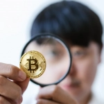 Системный анализ слот игры Wolf Gold с детальным разбором механики